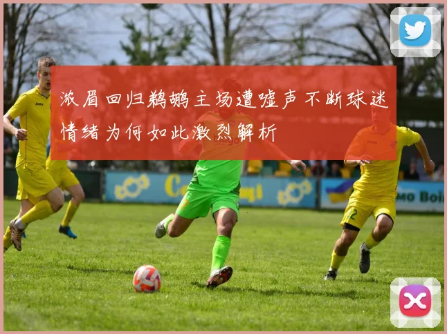 浓眉回归鹈鹕主场遭嘘声不断球迷情绪为何如此激烈解析