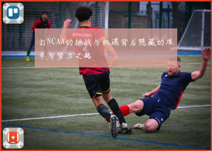 打NCAA的挑战与机遇背后隐藏的艰辛与努力之路