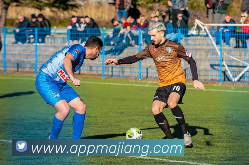 麻将胡了平台生态图